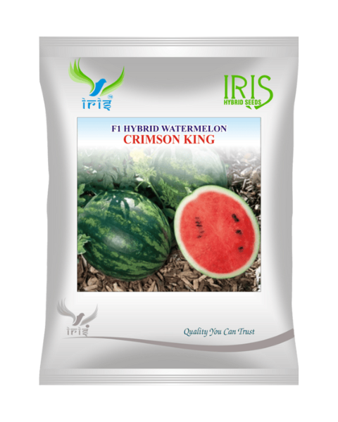 Iris Hybrid F1 Watermelon Crimson King Watermelon Seeds