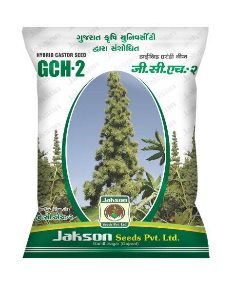 Jakson GCH-7 Hybrid Castor Seeds