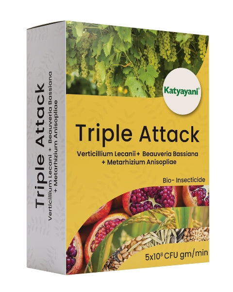 Katyayani Triple Attack Powder (Verticillium Lecanii + Beauveria Bassiana + Metarhizium Anisopliae) Bio Insecticides
