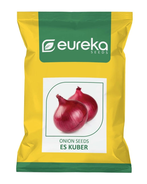 Eureka ES KUBER IMPROVED Onion Seeds