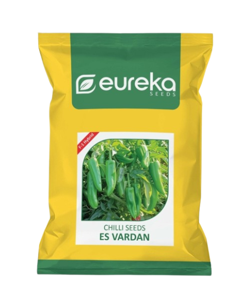 Eureka ES VARDAN F1 HYBRID Chilli Seeds