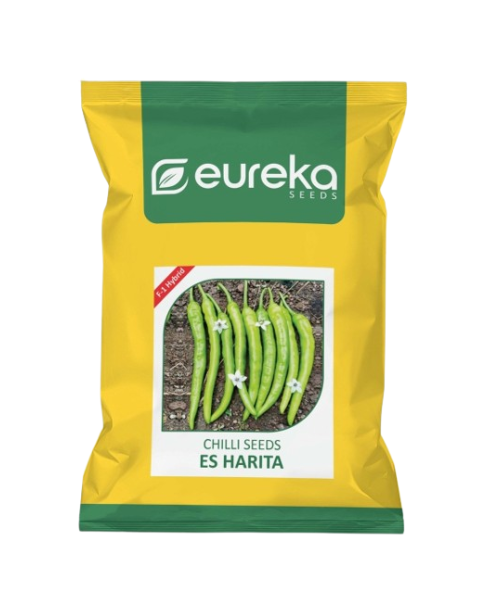 Eureka ES HARITA F1 HYBRID Chilli Seeds