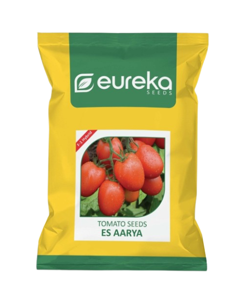 Eureka ES AARYA F1 HYBRID Tomato Seeds