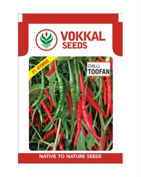 VOKKAL CHILLI - TOOFAN