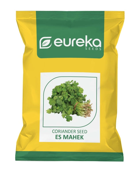 Eureka ES MAHEK IMPROVED Coriander Seeds