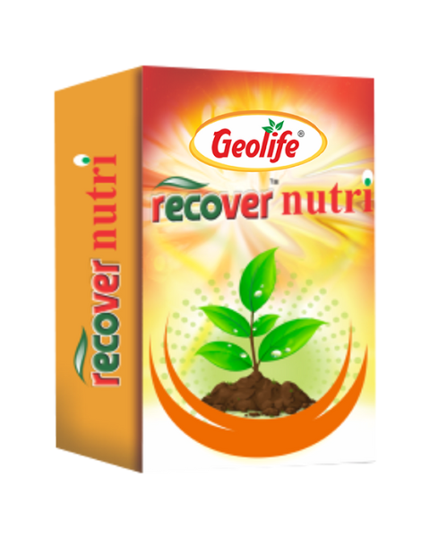 Geolife Recover Nutri Bio Fungicide– Broad-Spectrum Bio Fungicide