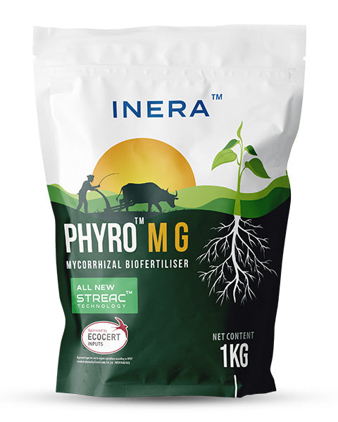 Inera Phyro MG Bio Fertilizers