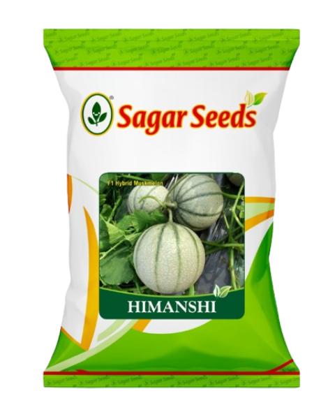 Sagar Himanshi F1 Muskmelon Seeds