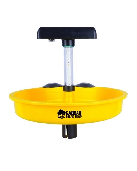 Chipku Gabbar Solar Trap