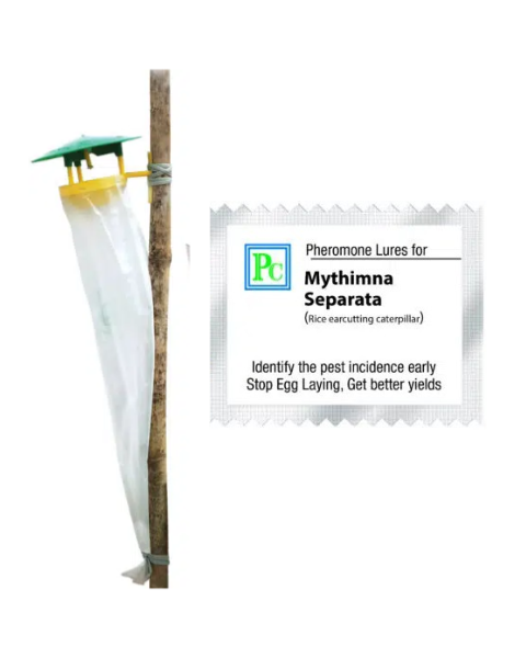 Pheromone trap with Mythimna separata Lure (Rice ear cutting caterpillar) - 10Pack