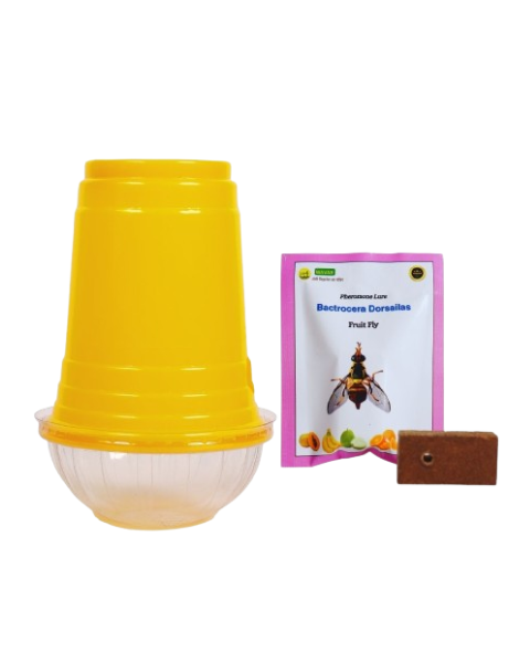 WAVAR FRUIT FLY TRAP DORSALIS LURE