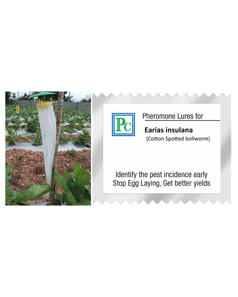 Pheromone trap with Earias insulana Lure (Spiny bollworm) - 10pack