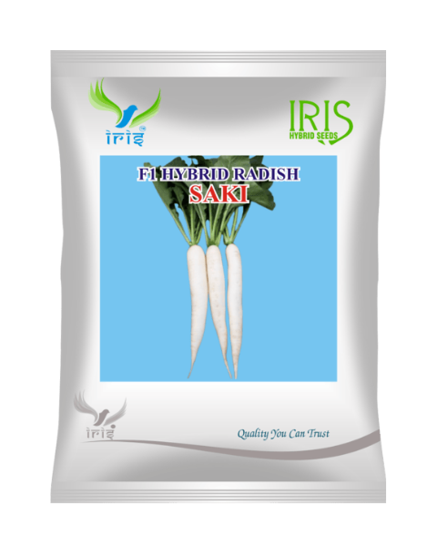 Iris Hybrid F1 Radish Saki Radish Seeds