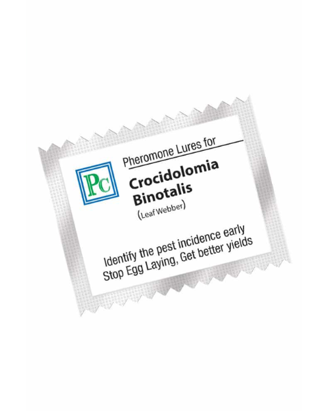 Pheromone Replacement lures for Crocidolomia binotalis (Leaf webber) - 10Pack