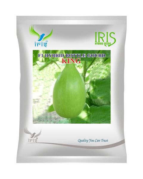 Iris F1 Hybrid King Bottle Gourd Seeds
