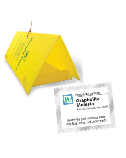 Pheromone Delta Trap and lure complete for Grapholita molesta (Oriental fruit moth) - 10pack