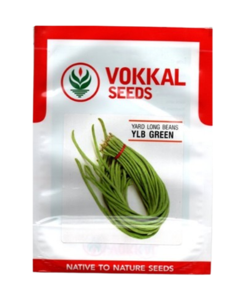 VOKKAL - YLB GREEN - Yard Long Bean