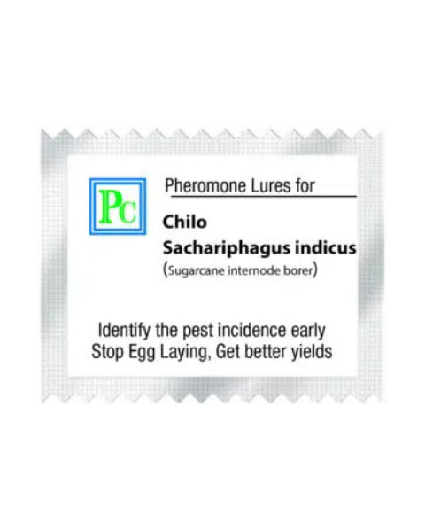 Pheromone Replacement lures for Chilo sacchariphagus indicus ( Sugar cane internode borer )-8pack