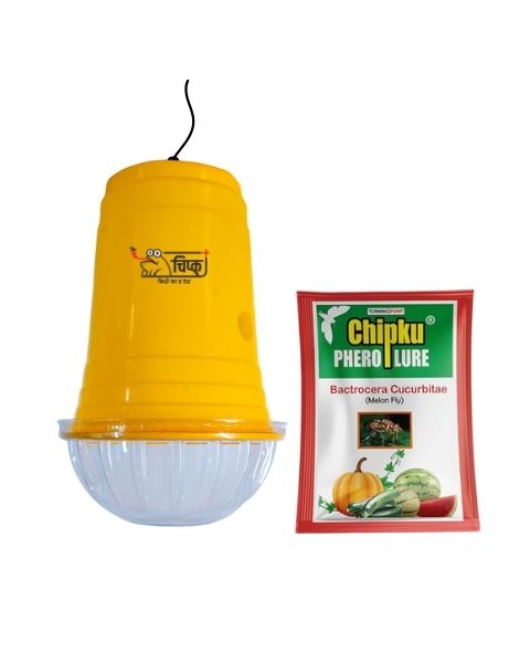 Chipku Glass + Melon Lure