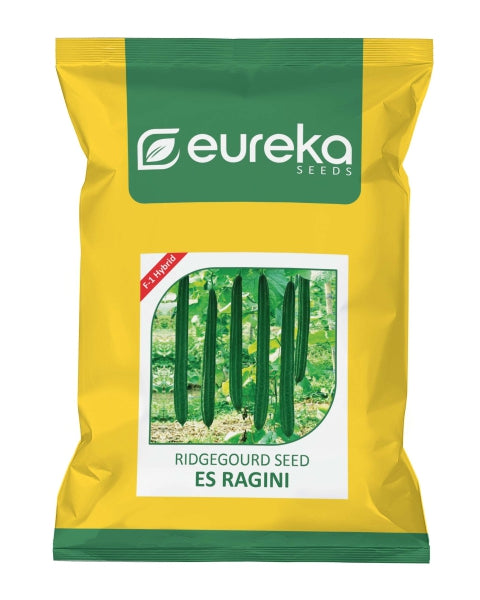 Eureka ES RAGINI F1 HYBRID Ridge Gourd Seeds