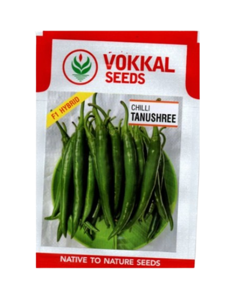 VOKKAL - TANUSHREE - Chilli