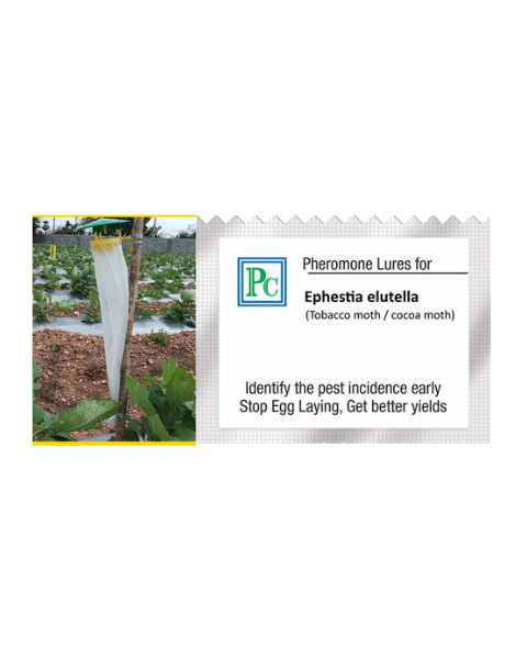 Pheromone trap with Ephestia elutella Lure (Warehouse moth / Tobacco moth) - 10pack