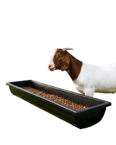 SONORIS GOAT FEEDING TRAY