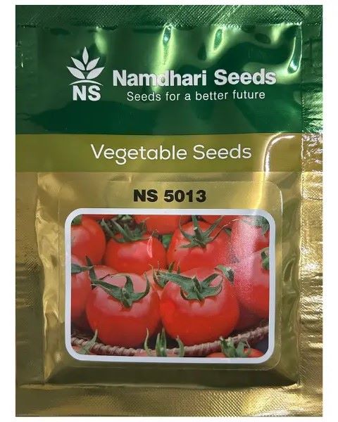 NS 5013 - Tomato
