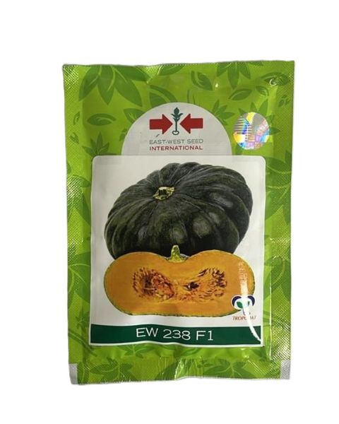PUMKIN EW 238 F1 Pumpkin Seeds