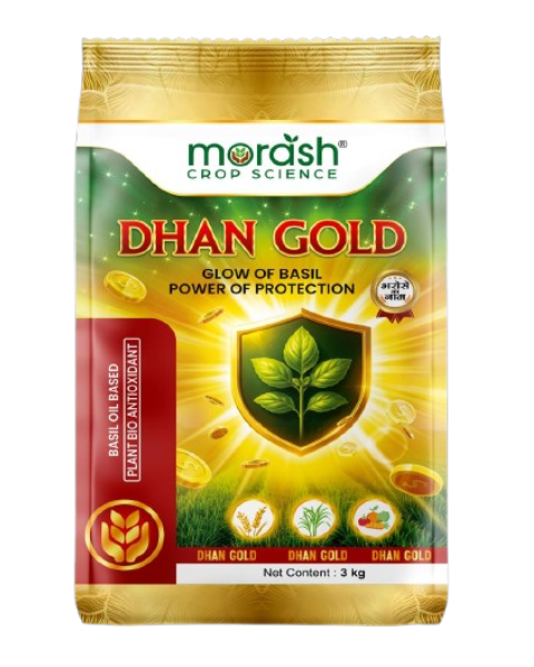 MORASH DHAN GOLD (BASIL OIL BASE) Bio Insecticides