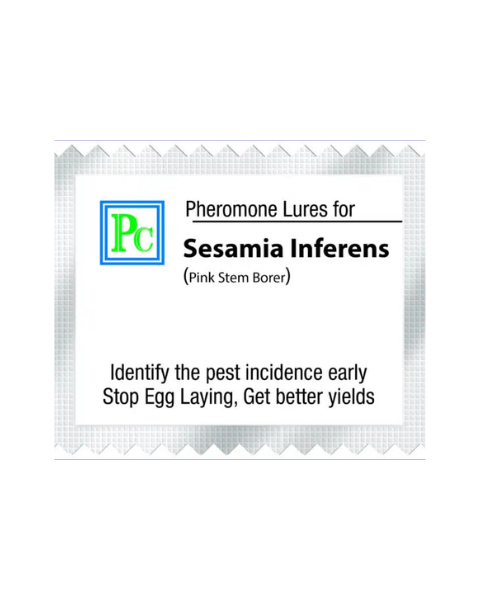 Pheromone Replacement lures for Sesamia inferens - 10pack
