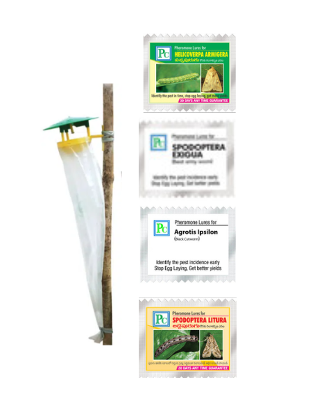 Pheromone Traps and Lures Combo pack of Green leafy vegetables - 24pack