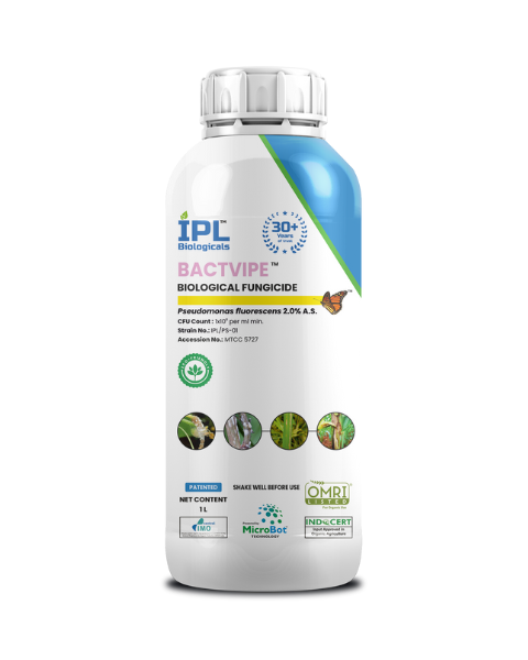 IPL Bactivipe - Bio Fungicides