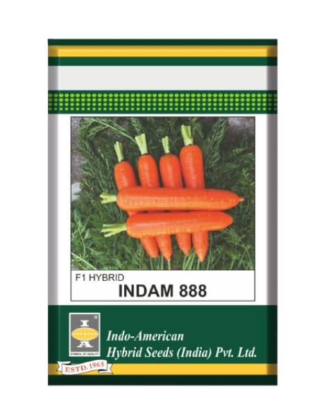 INDAM CARROT 888 - Carrot Seeds
