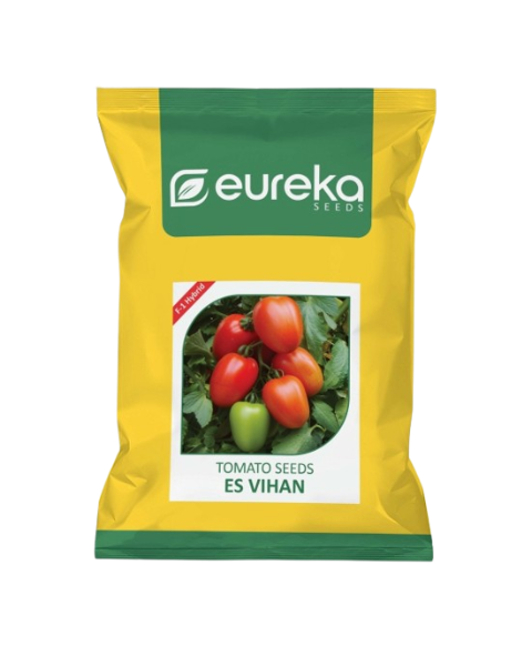 Eureka ES VIHAN F1 HYBRID Tomato Seeds