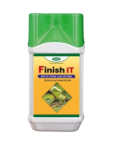 KATYAYANI FINISH IT