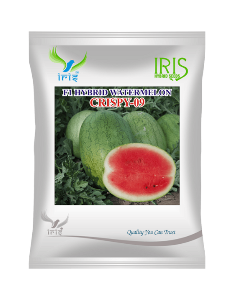 Iris Hybrid F1 Watermelon Crispy-09 Watermelon Seeds