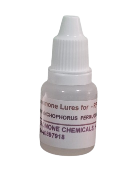 Pheromone Replacemen Lures for Rhynchophorus ferrugineus  ( Red palm weevil ) 4 pack