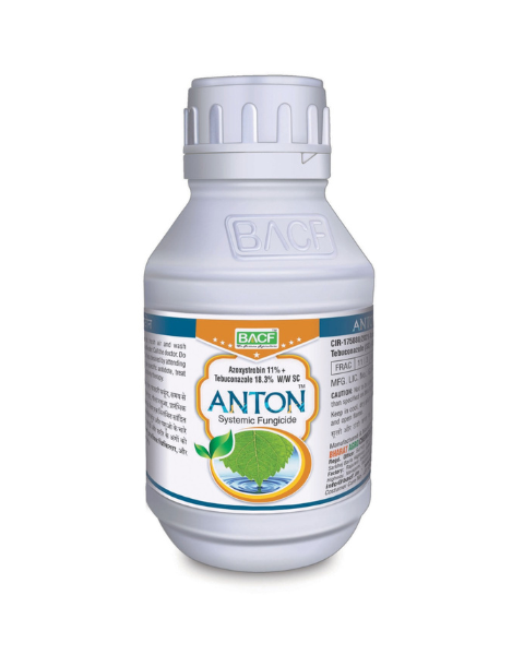 BACF Anton Fungicides – Dual Action, Broad-Spectrum Disease Control