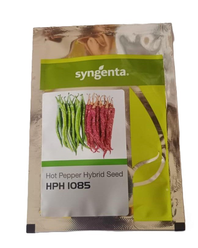 Syngenta HPH 1085 Chilli Seeds