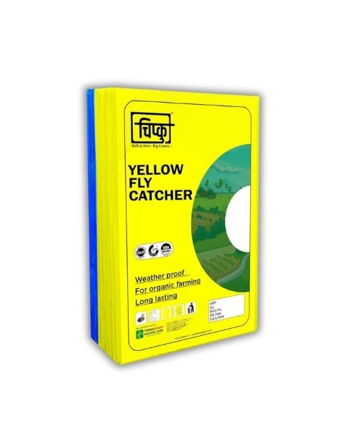 Chipku A4 (Yellow+Blue) Sticky Trap Pack of 25