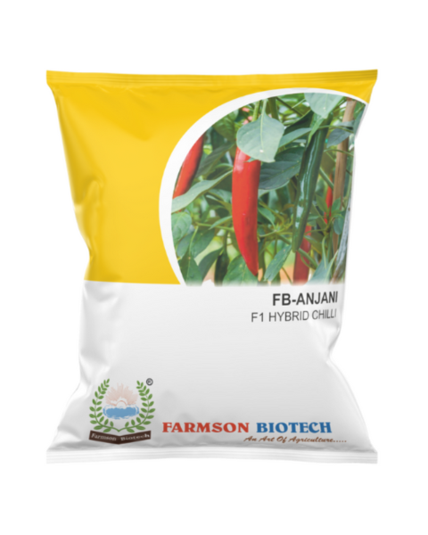 FB ANJANI F1 Hybrid Chilli Seeds