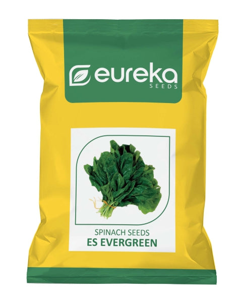 Eureka ES EVERGREEN IMPROVED Palak Seeds