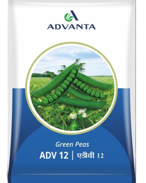 ADV 12 Garden Pea Seeds