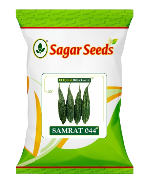 Sagar Samrat 044 F1 Bitter Gourd Seeds