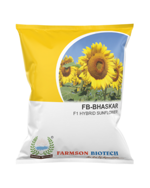 FB BHASKAR F1 Hybrid (Buy 1 Get 1 Free) Sunflower Seeds
