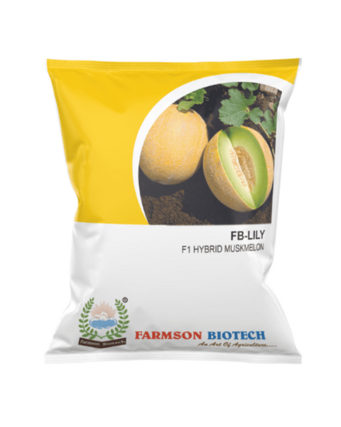 FB LILY F1 Hybrid Muskmelon Seeds