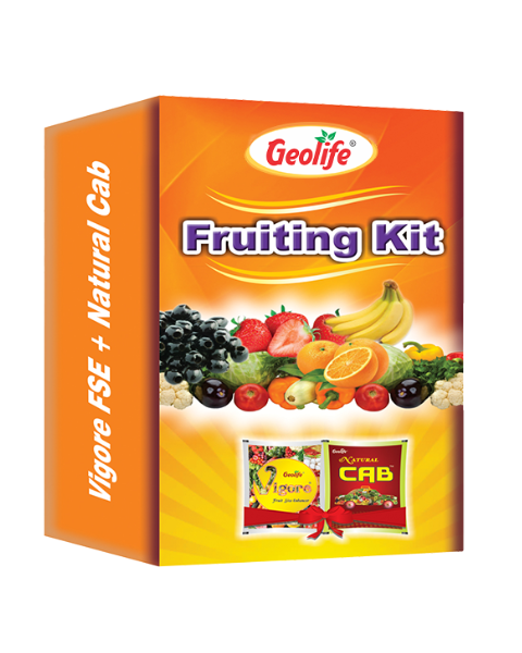 Geolife Fruiting Kit - Fruit Size & Quality Booster (Vigore FSE + Natural CaB)