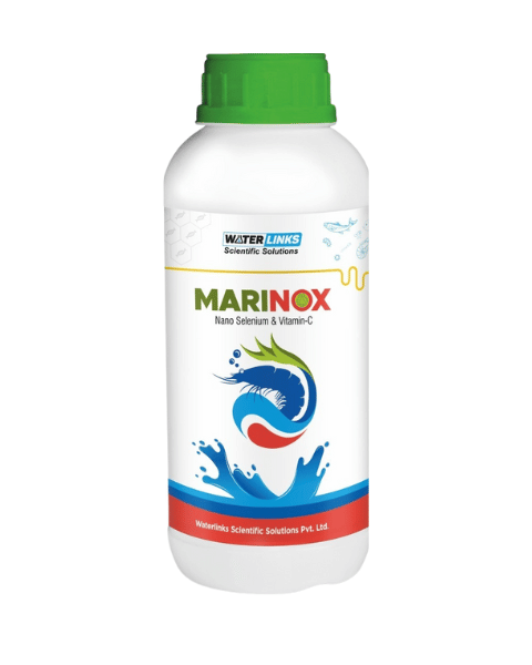 Waterlinks Marinox Fish Supplements