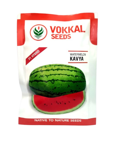 Vokkal Kavya Watermelon Seeds